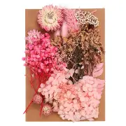 Pressed Flowers Bulk Dried Flowers Natural Pressed Flowers Leaves Pink Series