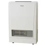 Rinnai E-Saver 309FT3L Kit 13 MJ LP Includes Direct Flue Kit - White