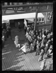 Racehorse Winooka being lead through a crowd of people as he leave- Old Photo