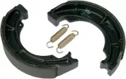 SBS Brake Shoes w/Springs (2018)