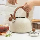 2.5L Stainless Steel Kettle Enamel Water Kettle Loud Whistle