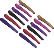 Healvian 12pcs Acrylic Tip Clip Barrettes for Headwear for Women Hair Jewels for Women Dividing Clips Women Barrettes Curl Clips Hair Barrettes Event Hair Clip Hair Accessories