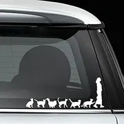 Crazy Cat Lady Woman Pet Funny Decal Vinyl Sticker White Cars Trucks Vans SUV Laptops Walls Glass Metal - 7.5 inches