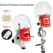 Dental Simulator Manikin Phantom Head Model with Removable Teeth for Training