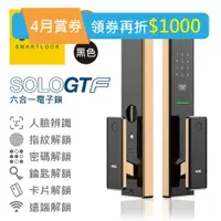 在飛比找PChome24h購物優惠-【瑞典 VOC】六合一智慧電子鎖 SOLO GT-F 人臉辨