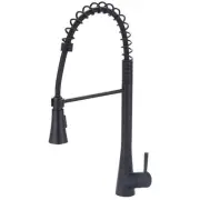 i2 Single-Handle Pull-Down Sprayer Kitchen Faucet with Pre-Rinse Sprayer in