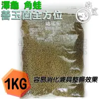 在飛比找蝦皮購物優惠-【青島水族】台灣 SEAxSHARK 海鯊 =1kg= 善玉