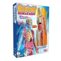 在飛比找momo購物網優惠-Squishy Human Body （人體模型）