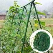 4 Sizes 27 Strands of Horticultural Plant Climbing Vine Net Ipomoea Nil Climbing Flowers Climbing Rattan Ropes For Plants green 0.9m*1.8m