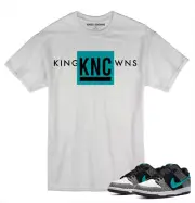 Tee to match Nike SB Dunk Low Atmos Elephant Sneakers
