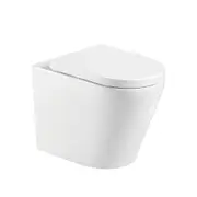 585*370*462mm Fienza Aluca Gloss White Tornado Wall Faced Toilet