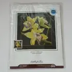 New RTO Counted Cross Stitch Kit Orchids Cymbidium 36*36 cm