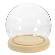 Clear Glass Display Case with Wooden Base Clear Glass Dome Display Covering