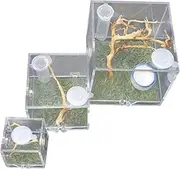 Jumping Spider Feeding Boxes 3 Pack Spider Enclosures Humidifier and Feeding Opening