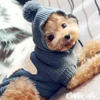 在飛比找樂天市場購物網優惠-狗衣服 秋冬款狗狗毛衣寵物衣服泰迪衣服比熊博美雪納瑞貴賓衣服