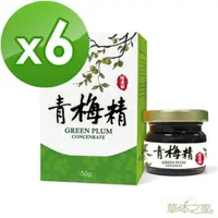 在飛比找momo購物網優惠-【草本之家】超濃縮青梅精膏6入組(50公克/入台灣青梅)