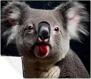 Throw Blankets for Women,Couch Blankets & Throws,Australian Animal Koala,59x51.1 in
