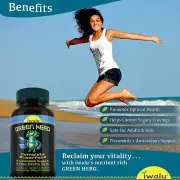 Moringa Powder Organic Capsules - Fuel Your Day With Nutrient-Dense Superfood