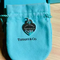 在飛比找蝦皮購物優惠-Tiffany&co. 純銀色彩心形吊飾 純銀 琺瑯 項鍊 