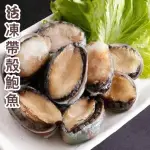 【濠鮮嚴選】『熟凍帶殼鮑魚』約18粒/包