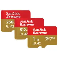 在飛比找露天拍賣優惠-SanDisk Extreme 256G 512G 1TB 