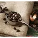 【鴻海烘焙材料】Driver咖啡豆匙10g (原色) 不鏽鋼 咖啡匙