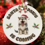 Funny Santa Paws Alaskan Malamute Dog Lover Christmas Ornament Gift Tree Decor