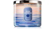 Bath & Body Works Ocean Driftwood 411 g