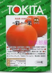 在飛比找Yahoo!奇摩拍賣優惠-【野菜部屋~】L02 日本彩果蕃茄種子1000顆(原包裝) 