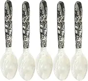 Elegant Pearl Spoon for Serving - Caviar Spoons with Round Handles | Caviar Utensil Deluxe Shell | 5 Piece Set Mother of Pearl Spoon | Decorative Glossy Caviar Server for Serving Fine Caviar