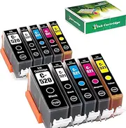 TAAUS Compatible Canon PGI-520 CLI-521 Ink Cartridges 10-Pack for PIXMA IP3600 IP4600 IP4700 MX860 MX870 MP540 MP550 MP560 MP620 MP630 MP640 MP980 MP990 Printers (2 PGBK, 2 BK, 2 C, 2 M, 2 Y)
