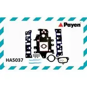 Payen Intake Manifold Gasket Set - HA5037