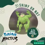 Machamp Shiny ✨ Pokémon Legends Arceus 6 IV Alpha Max Effort Custom OT Level