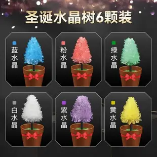 兒童種植水晶花圣誕樹3益智玩具6-12歲小學生女童男孩生日禮物