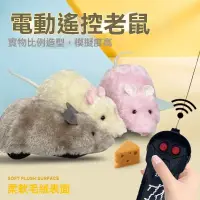 在飛比找蝦皮購物優惠-台灣出貨 貓咪玩具 仿真毛絨玩具 遙控老鼠逗貓棒 玩具耐用 