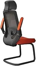 Ergonomic Office Chair Office Desk Chairs Ergonomic Desk Chair with Adjustable Handrail Lumbar Support Executive Chair Desk Chair(Orange)