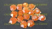 Trinidad Scorpion Pepper Tear Drop Candy ~ Organic Peppers w/ variety of Flavors