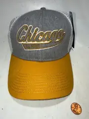 Chicago, Illinois Snap Back Mesh Camp David Hat Cap