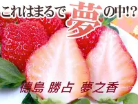 在飛比找Yahoo!奇摩拍賣優惠-德島 勝占 (夢之香)草莓種子　正統日本德島縣最高等級種子1