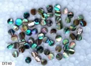 BUY 1 GET 1 FREE SHIP Fretboard Position 120 pcs DOT 5mm Mark Inlay Abalone DT40