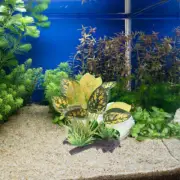 Artificial Water Plants Fake Aquarium Reptile Tank Decor Decoration