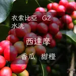 ★沁果天澤★自家烘焙 衣索匹亞 水洗 G2 西達摩