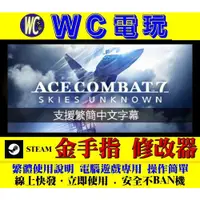 在飛比找蝦皮購物優惠-【WC電玩】PC 空戰奇兵 7 未知天際 ACE COMBA