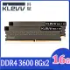 KLEVV 科賦 BOLT XR DDR4 3600 8Gx2 桌上型記憶體