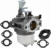 CARBURETOR，Compatible With Briggs & Stratton 716116 FITS MODEL 246432 246435 246437 CARB