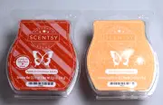 Scentsy Farmstead Pumpkin & Apple & Cinnamon Sticks Set/2 Wax Bars