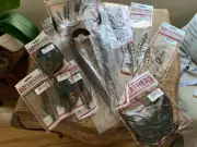Natural looking Pheasant Feather lot