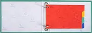 Exacompta 604E Box with 10 Packs of Index Tabs with 4 Coloured Tabs (Ideal for Index Cards Perforated, DIN A6, Flexible Cardboard 300μ) 1 Box, Assorted Colours