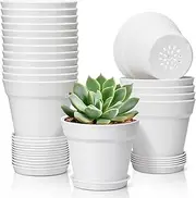 [T4U] 4 Inch Plant Pots 18-Pack, Small Flower Pots with Saucer and Drainage Hole, Durable Plastic Pots, Nursery Small Flower Pot Bulk for Plants, Succulent, Violet, Decorative (18 Pack 4" Pot, White)