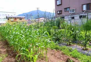 高野飯店